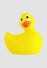Canard Vibrant Classic