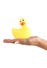 Canard Vibrant Classic