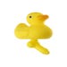 Canard Duck With a Dick
