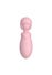Stimulateur Wand Mini Molly