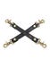 Attache Hogtie Cuir Bound To You