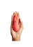 Galet Vibrant We-Vibe Touch X