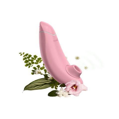 Stimulateur Womanizer Premium Eco
