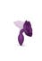 Plug Anal Open Roses S