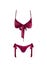 Maillot de Bain 2 Pièces Satiné Bordeaux