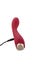 Vibromasseur Uncorked Malbec