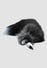 Black & White Fox Tail L