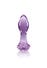 Plug Anal en Verre Crystal