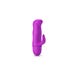 Vibromasseur Rabbit Blithe