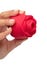 Stimulateur clitoridien Rose rouge