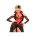 Costume Reine Rebelle
