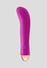 Vibratore Ricaricabile Bird