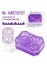 Masturbateur mini unisexe Tenga Uni Amethyst