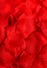 Petali di Rose Rosse Romantiche Oh!