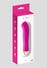 Vibratore Ricaricabile Bird