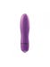 Mini Vibromasseur Delight