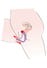 Ecarteur de Vagin et Stimulateur de Point G Intimate Spreader