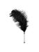 Plumeau Plume Noire