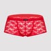 Boxer dentelle