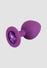 Plug Anal Bijou Violet Medium ColorfulJOY