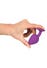 Plug Anal Bijou Violet Medium ColorfulJOY