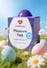 Kit sextoys pour couple Pleasure Egg 5 pièces