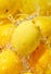 Stimulateur clitoridien ROMP Lemon Crush