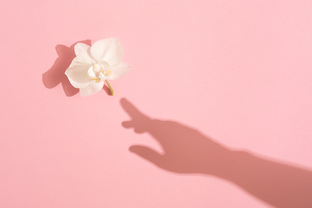 Ombre d&rsquo;une main tendue vers une fleur sur fond rose, symbolisant l&rsquo;id&eacute;e d&rsquo;apprivoiser son premier sextoy.
