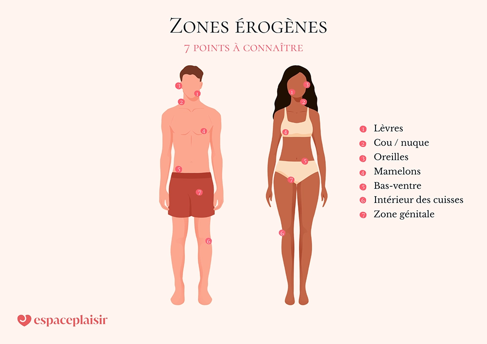 Infographie présentant 7 zones érogènes pour l’homme et la femme : lèvres, cou, oreilles, mamelons, bas-vente, intérieur des cuisses et zone génitale.